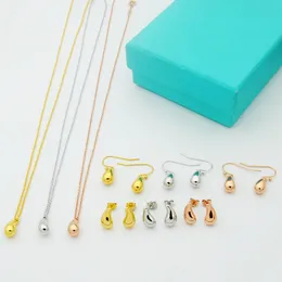 10-year-old factory wholesale 316L stainless steel T-letter brand smooth water drop ear hook earrings couple gifts with dust bags.