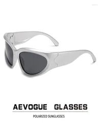 Solglasögon AEVOGUE Sports Glasses Cycling Retro Wraparound For Men Polarised AE12739072249
