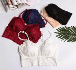 1pc sexy Spitze Bralette Push Up gepolsterter BH sexy Crop Top Dessous Unterwäsche Wireless nahtloser Ultra -Gurt -Bras Tanks1243761