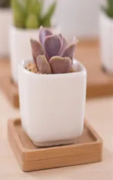 Vasi di fiori carnosi per piante grasse Ceramica di colore puro Lettera d'amore Semplice piccola decorazione del giardino di casa7105082