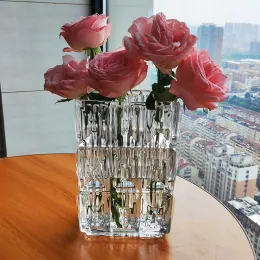 Filmes cozinha selva vaso flores terrário jardinagem vasos de escritório nordic funky alta decoracion para el hogar decoração casa sala estar