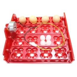 Accessories 16 Chicken Eggs 64 Quail Eggs Parrot Eggs Egg Incubator Tray Applied Voltage Is 110v / 220v /12v Incubator Accessories