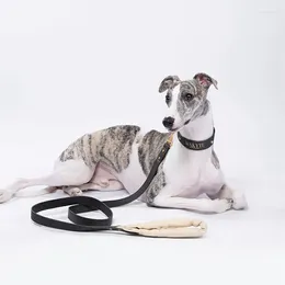 개 칼라 가죽 애완 동물 칼라 중간 크고 가죽 끈 세트 도버만 말리 노이 레스 히스 accesorios para perros correa perro