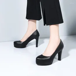 Dress Shoes Women's Office Work Waterproof Platform High Heels El Attendants Stewardesses