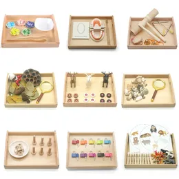 Montessori Sensory Toys Basic Life Skill Material Fine Motor Learning Education för barn 3 år H24H 240321