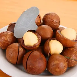Mini Nut Crackers Rostfritt stål Macadamia Walnut Opener Portable Camping Kitchen Accessories Nut Tools