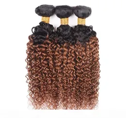 Brazilian Virgin Hair Ombre Weave 3 Bundles Kinky Curly 1B 30 Medium Auburn Color Unprocessed Malaysian Peruvian Curly Human Hair 8427880
