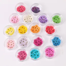 100pcs Wciśnięty suszony narcyz Kwiat kwiatowy z pudełkiem do biżuterii żywicy epoksydowej Making Nail Art Craft DIY Akcesoria 240321