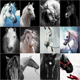 NUMERO Gatyztory Paint by Number Black Horse White Horse Pictures per numero disegnando su tela Kit regalo per arte animale dipinto a mano fai da te