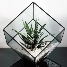 Filmy Kształt Kształt Plant SZKOLNY Zestaw Terrarium Creative Flower Vase Glass Flowerpoty do dekoracji ślubnej ogrodu domu