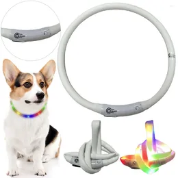 Collari per cani Collare luminoso Silicone multicolore Ricarica USB Luce tagliabile per cani di taglia piccola, media e grande