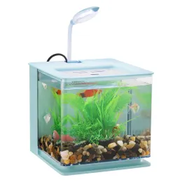 Tanks Aquarium Glass Fish Tank On Desktop Open Fish Tank With LED Lighting