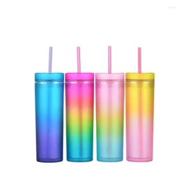 Tumblers gradyan sıska (4 paket) kapak ve pipetli mat pastel renkli akrilik | 16 oz çift duvarlı plastik