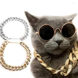 Hundehalsbänder, die Gold- und Silberhalskettenzubehör für Haustiere verkaufen. Große Kette mit simulierter Katze