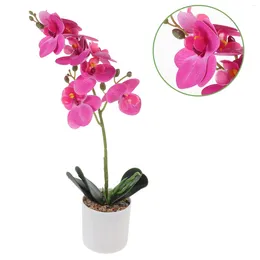 Dekorativa blommor Phalaenopsis Bonsai Model Simulation Orchid Flower Prop Table Centerpiece Room Decorations