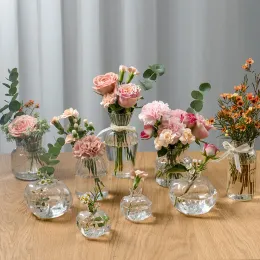 Filmy Japanesestyle Transparent Glass Wazon Dekoracja salonu Kwiat Water Mini Desktop Glass Bottle Bottle Ins Wind