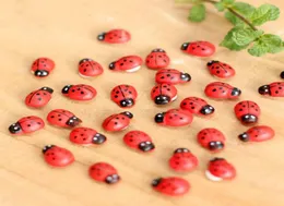 100PCSLOT MINI CUTE BEETLE COCCINELLA Garden Decorations Septempunctata DIY Micro Micro Mocape Botto Decord B3790995