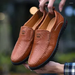 Casual Shoes 2024 Men's Luxurious Drive Corium Soft Ventilate Men loafers Zapatos de Hombre Luxury