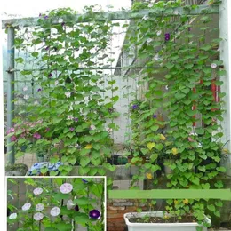 جديد 2024 NYLON MESH HORTICELTURE PLANT CRAWL NET LOOFAH MORNOK GLORY CUCMUMBER VINE GROW HOLDRAY NOCRAW FARM Network- for Loofah Morning Glory Cucumber Vine