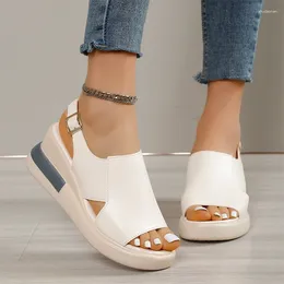 Platforma sandałów wysokie obcasy kobiety kliny buty moda letnia plaża spacerowe kapcie 2024 pompki swobodne slajdy zamatos