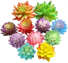 Flores decorativas 11 peças sortidas multicoloridas plantas suculentas artificiais falso texturizado cacto aloe para decoração de casa de casamento