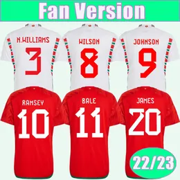 22 23 Galler Erkek Futbol Formaları Wilson Johnson Ramsey Bale Williams James Rodon Allen Moore Roberts Davies Futbol Gömlek Kısa Kollu Üniforma