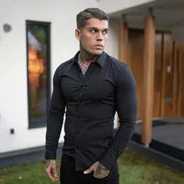 Moda outono camisa de manga longa dos homens primavera super fino ajuste casual social vestido camisa dos homens ginásio fitness roupas esportivas 240325