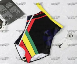 Simple Stripes Swimwear Hipster Padded Push Up Women039s Designer Onepiece Swimsuits Outdoor Beach Swimming Travel Bandage Lux2602013