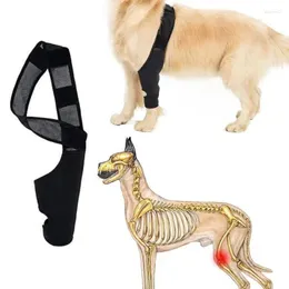 Dog Apparel Leg Strap Brace Thigh Recovery Sleeve Protector For Canine Joint Support Reduce Impact Injury Joints Care