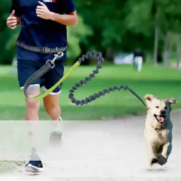 Leinen Hundeleine zum Laufen, Joggen, Hundeleine, Sport, verstellbar, zum Gehen, freihändig, Taillengürtel, einzigartig, reflektierender Hund, doppeltes Zugseil