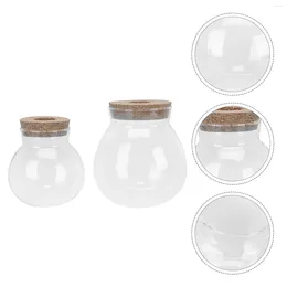 Vases 2Pcs Glass Storage Container With Cork Lid Flower Vase Bottle Landscape Jar Wedding Decor Vazolar