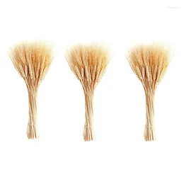Decorative Flowers Big Deal Dried Wheat Stalks 300 Stems Sheaves For Decorating Wedding Table Home Kitchen (15.7 Inches)