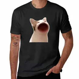 Pop cat T-shirt Animal Animal Prin for Boys koszulki graficzne koszulki urocze ubrania zwykłe białe koszule Mężczyźni 924c#