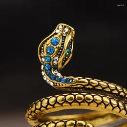 Cluster Rings Punk Coiled Snake For Women Men Multicolor CZ Stones Animal Ring Finger Special Girl Gifts Personlighet smycken