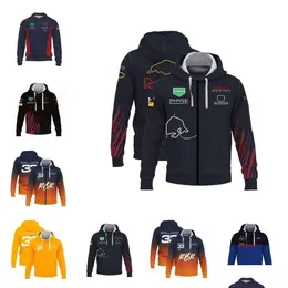 Jaquetas masculinas F1 Hoodie Forma 1 Team Racing Hoodies Extreme Sports Event Zipper Alta Qualidade Harajuku Punk Man Jacket Plover Logotipo do carro Otrno