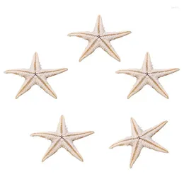Декоративные тарелки 200 шт. натуральная морская звезда морская ракушка пляжное ремесло морские звезды DIY свадебные украшения ремесла домашний декор 1-5 см
