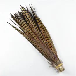 Accessories Wholesale 1075cm 430" Natural Ringneck Pheasant Tail Feathers for Crafts Wedding Decorations Pheasant Feathers Carnival Plumas