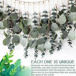 Dekorativa blommor Green Vine Flower Rattan Simulation Eucalyptus lämnar väggmonterat plast äpple 170 cm