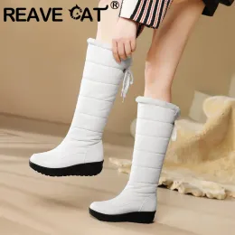 ブーツをReave Cat Cat Winter Snow Boots Round Toe Tee The Thick Heel Lace Up Warm Daily Daily Booties Plus Size 42 43 44膝の高い防水靴