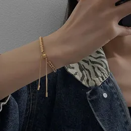 Cazibe bilezikleri minimalizm altın renk ayarlanabilir altın buğday kulak titanyum çelik kadın için kore moda takı goth kızlar Bangl275l