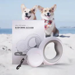 Collari per cani Pupazzo di neve Luce notturna a LED con corda di trazione multifunzionale - Illumina le tue notti Questo accessorio versatile e adorabile