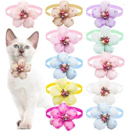Odzież dla psów 20pcs Słodki Bowties Puppy Cat Flower Shape Katowotek Kllar Spring Pet Fareing Produkty dla małych psów