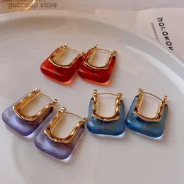 Charme Korea Acryl Ohrringe für Frauen Design Kreative Ohr Schnalle Creolen Temperament Einfache Pendeln Hochwertige Schmuck Y240328