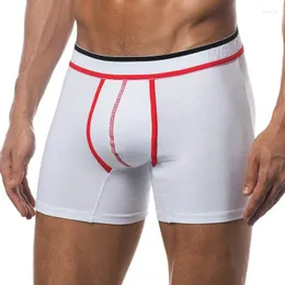 Mutande 50 pz/lotto maglia all'ingrosso biancheria intima da uomo boxer sexy mutandine comode pantaloncini in cotone traspirante ad asciugatura rapida