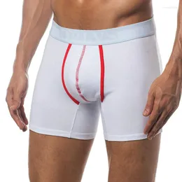 Underpants 50PC/LOT Wholesale Men Underwear Sexy Gay Boxers Panties Quick Dry Breathable Cotton Male