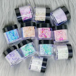 Polijsters 12 pezzi/set polvere acrilica con grosse paillettes glitterate scaglie di camaleonte 3in1 per l'estensione delle unghie acriliche intaglio decorazione di nail art