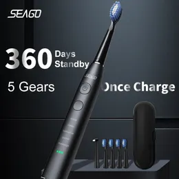 Seago Electric Sonic Sonic Frush USB قابلة لإعادة الشحن البالغ 360 يومًا عمر البطارية مع 4 رؤوس بديلة هدية SG575 240325