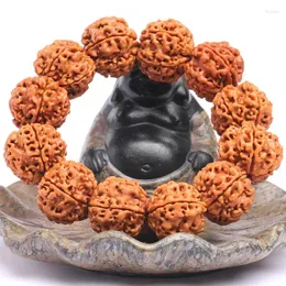 Strand Rudraksha męski kwiat Plum Blossom Nepal Yellow Skin Oryginalna ręka nasionowa zabawka bodhi