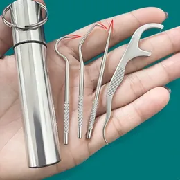 NEW 2024 Stainless Steel Toothpick Set Tooth Flossing Reusable Toothpicks Portable Toothpick Floss Teeth Cleaner Oral Cleaning