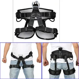 Large HeeJo Body Safety Belt With Waist Pad, Side D-Ring - PPE For Climbing, Rescue & Rappelling